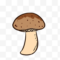食品蘑菇香菇