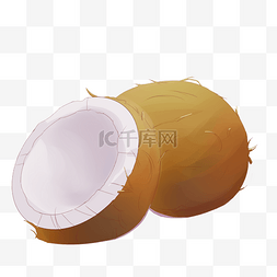 椰子椰肉手绘插画