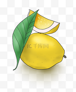 柠檬黄手绘图片_夏季食物手绘柠檬