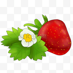 手绘春分草莓插画