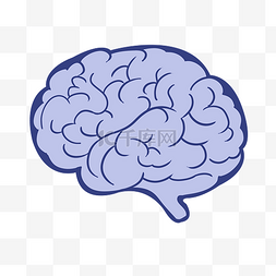 脑内思想图片_一个大脑的平面图
