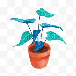 旺盛的植物图片_手绘花盆盆栽植物插画