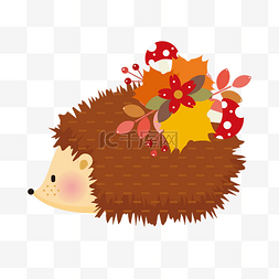 小刺猬构画法图片_秋季秋天的刺猬和秋叶