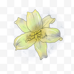 小清新插画花朵图片_黄色的花手绘装饰图案