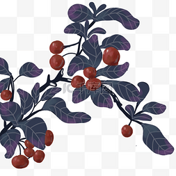 红色果子植物图片_插画类手绘梦幻植物