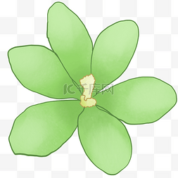 绿色清新植物生长图片_花朵花瓣绿色清新花卉鲜花