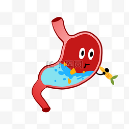 人体的胃图片_卡通人体器官插画
