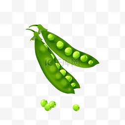 手绘绿色食材图片_手绘新鲜小豌豆粒插画