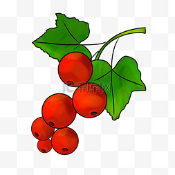 一碗山楂图片_手绘水果红色山楂果实