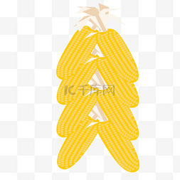 黄色的玉米免抠图