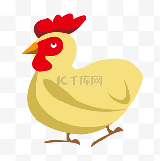 黄色的家禽母鸡插画