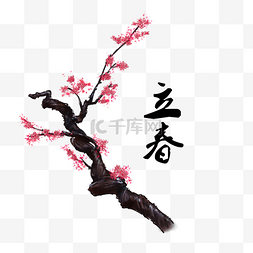 手绘树枝开花图片_立春节气梅花植物手绘插画PSD装饰