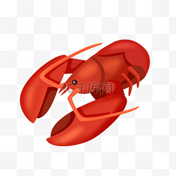 红色的大虾手绘插画