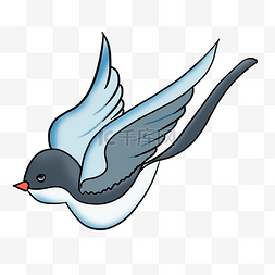 燕子飞行图片_展翅飞翔的燕子插画