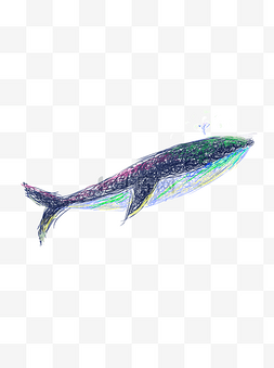 创意鲸鱼艺术设计psd元素
