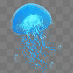 蓝色地产海报背景图片_蓝色透明生物章鱼水母元素