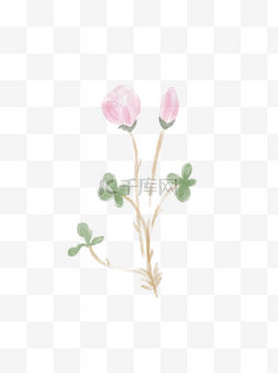 水彩手绘植物装饰图片_手绘水彩水墨花素材元素