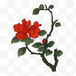 红红红火图片_中国风手绘花卉插图