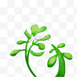 手绘插画植物绿色藤曼
