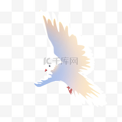 飞鸟标志图片_香港回归和平鸽插画