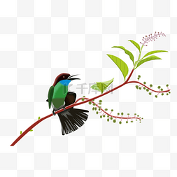 鸟叫图片_春天绿色写实森林花鸟免抠PNG