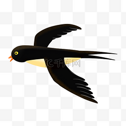 展翅飞翔的燕子图片_漂亮的手绘燕子