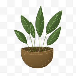 清新绿色植物绿植图片_绿色可爱椭圆形绿植