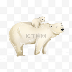  动物北极熊 