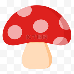 红蘑菇图片_红黄色的蘑菇