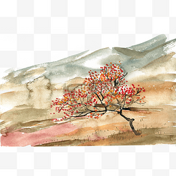 山坡上的柿子树水彩画PNG免抠素材