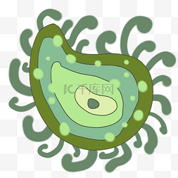 绿色触须毛球菌插画