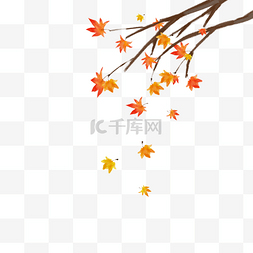 秋天枫叶飘落图片_秋分手绘秋天红色枫叶