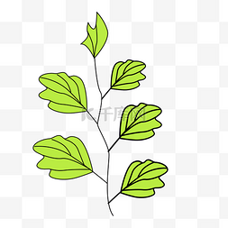 树叶插画免费下载图片_绿色的叶子免抠图