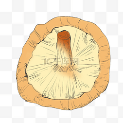 源文件白色图片_卡通插画简约清新蔬菜蘑菇PSD源文