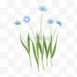 蓝色小清新花卉图片_植物蓝色花朵