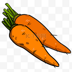 黄色的萝卜图片_手绘蔬菜胡萝卜