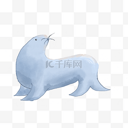 世界海洋日手绘海豹png