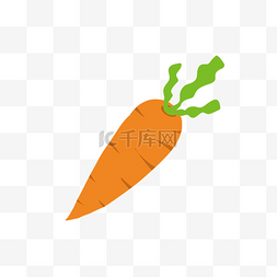 处暑绿色蔬菜萝卜