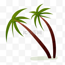 椰子树树木图片_树木椰子树