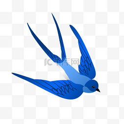 漂亮的蓝色燕子