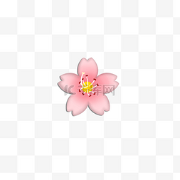 樱花花瓣图片_粉红色樱花的表情
