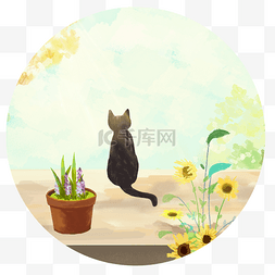 蓝天向日葵图片_秋分手绘猫咪在院子里感受阳光