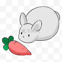 灰色吃萝卜的小兔子