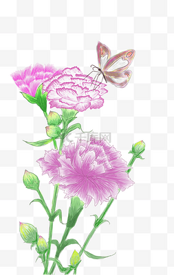 手绘卡通粉色蝴蝶图片_母亲节康乃馨手绘花朵蝴蝶元素