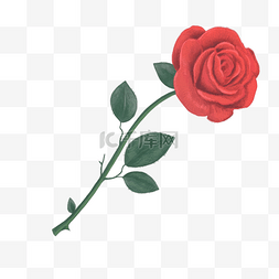 手绘花卉玫瑰图片_中国古风手绘物件插画玫瑰
