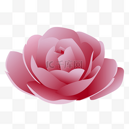 玫瑰花渐变图片_渐变粉色矢量盛开玫瑰