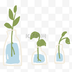 绿草可爱图片_三瓶可爱的水培植物