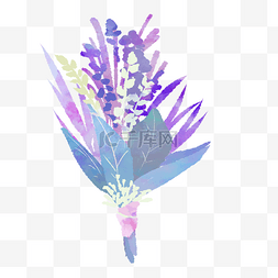 紫色花朵插画图片_手捧花花束花朵插画