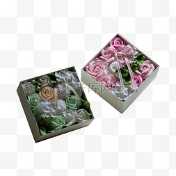植物花卉实拍图片_两盒鲜花实拍免抠