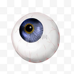 人体器官眼球 